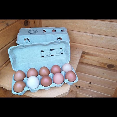 Neu! Landhaus Ostfriesenruhe Berumbur ภายนอก รูปภาพ