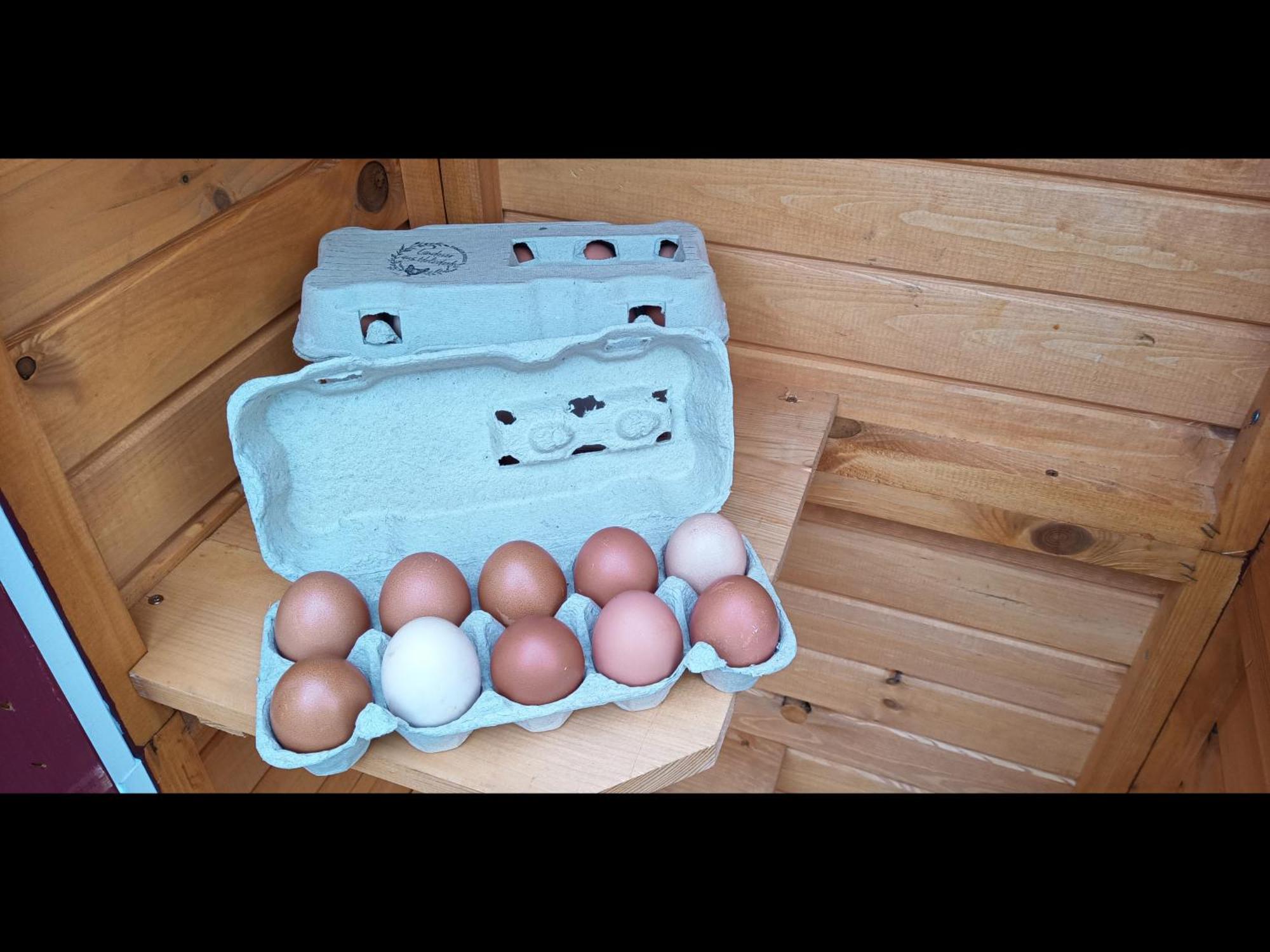 Neu! Landhaus Ostfriesenruhe Berumbur ภายนอก รูปภาพ